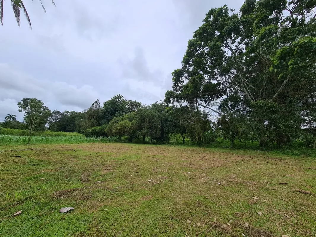 Finca en Venta en Guápiles (FE)