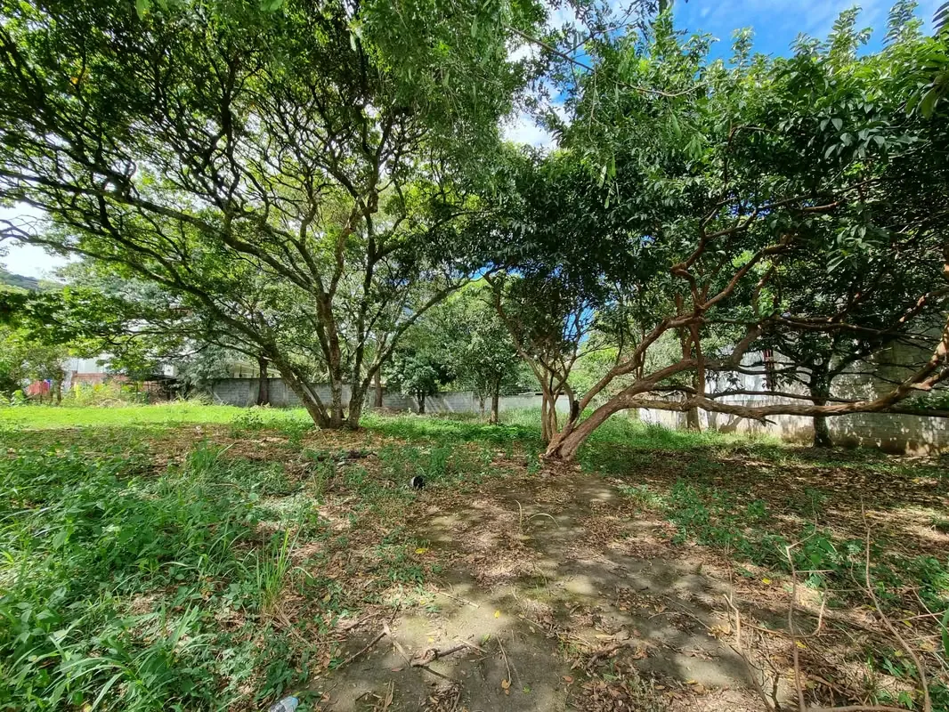 LOTE EN RIO ORO  DE SANTA ANA