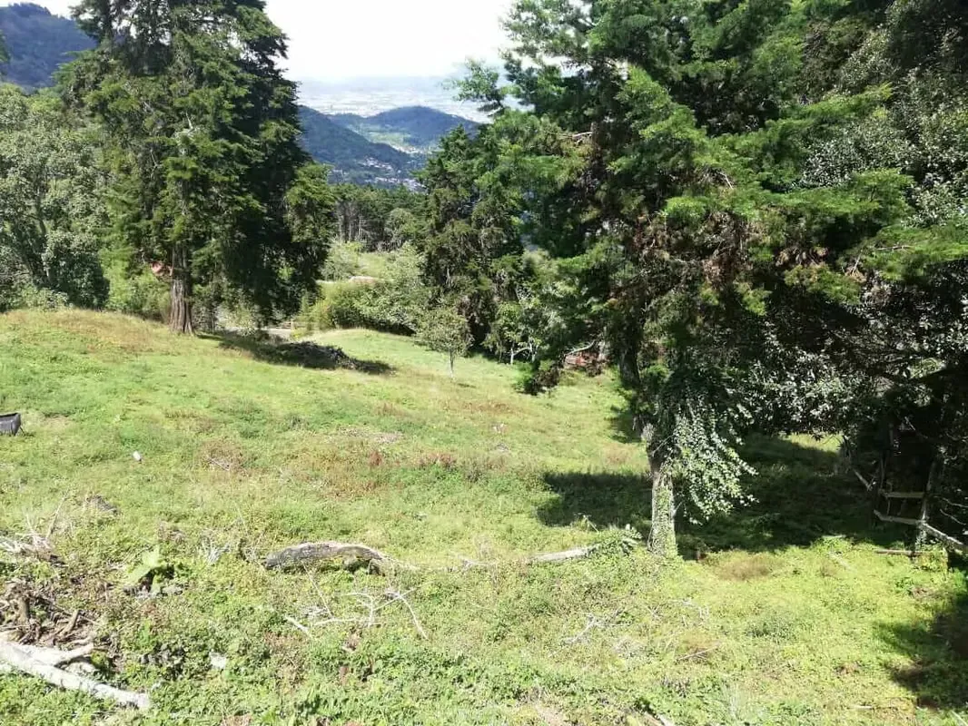 Lote en Venta con Excelente vista-Tarbaca Aserrí