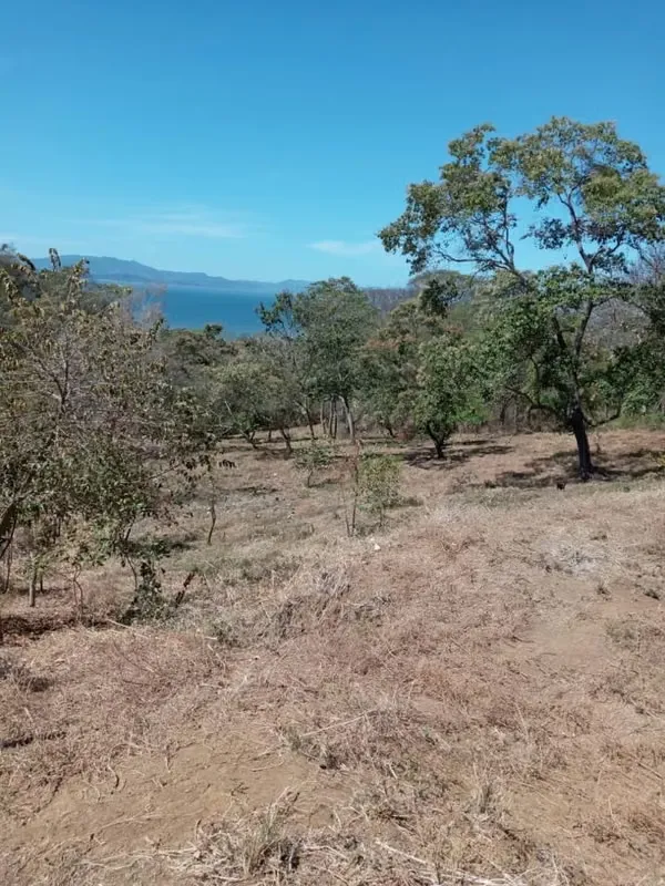 Chomes. Lot for investment, with relatively flat sea view. 7017 m2.