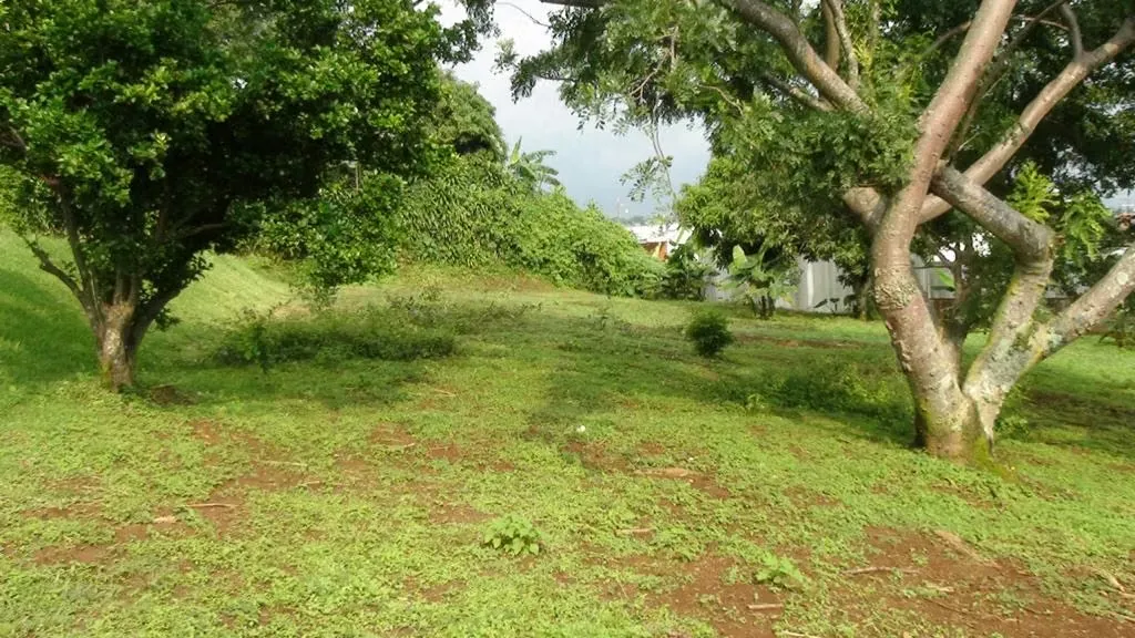 Lot for sale, San Pablo, Barva, Heredia — photo 5