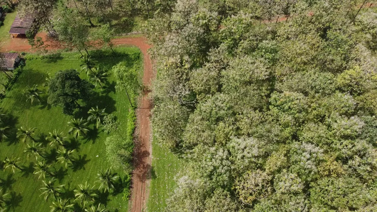 Se vende finca,  639 hectáreas en los Chiles NEGOCIABLE