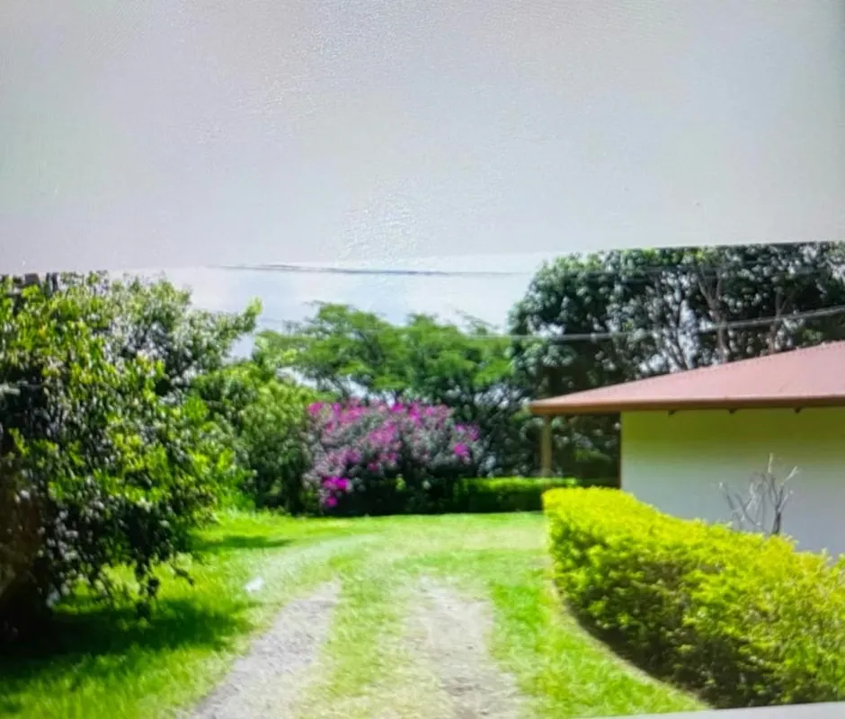Se vende propiedad de 2600 metros cuadrados Piedades Santa Ana