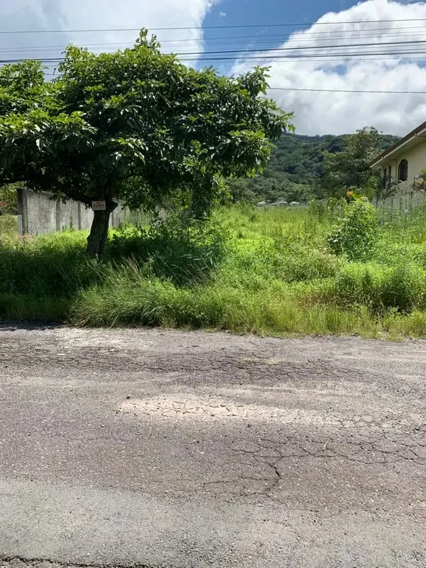 Lot plane, San Jose Sta Ana, 985.93 m2
