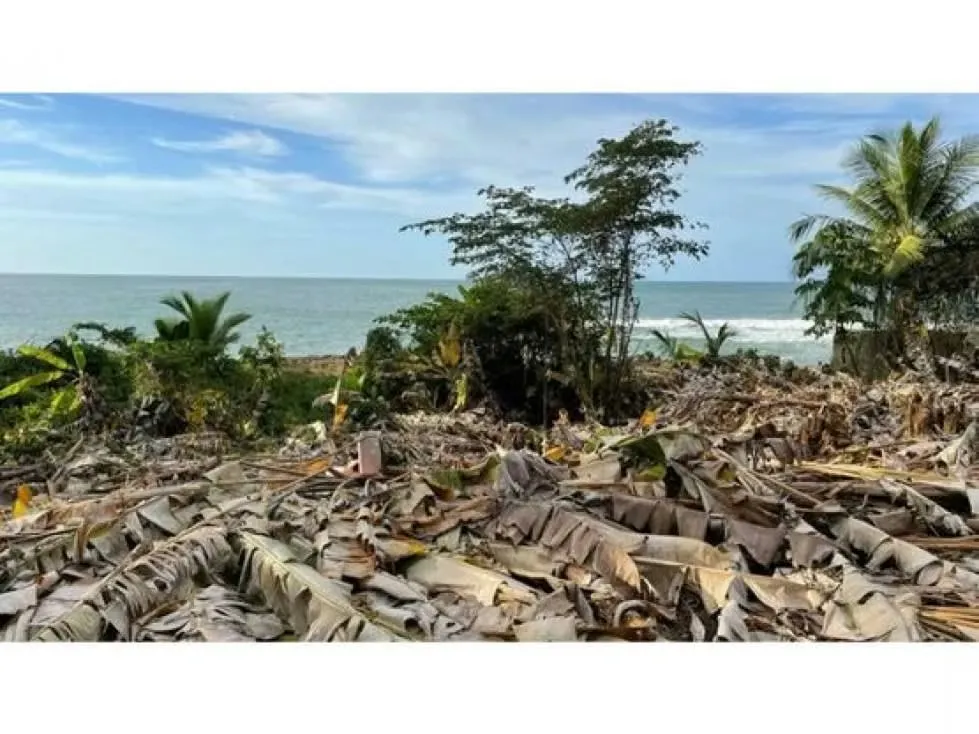 DESCRIPTION DETALLADA: Lot located in the village of Cangrejos, on main street, bordering on the straight of the Caribbean ... — photo 4