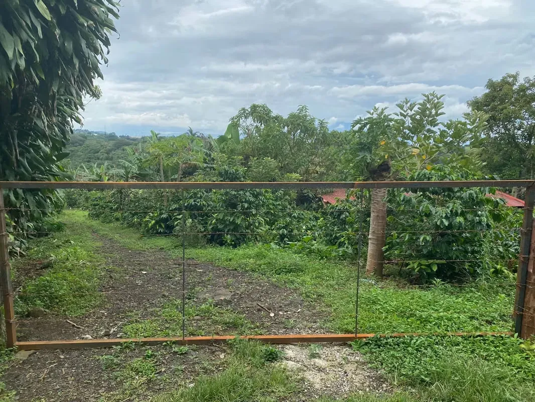 Finca en venta, Alajuela, Sarchí