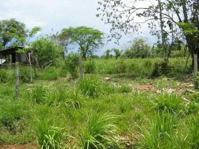 For sale Livestock Farm in Los Chiles de Alajuela