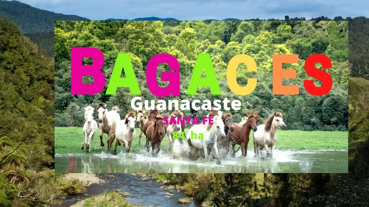 Land for sale in Santa Fe, Bagaces