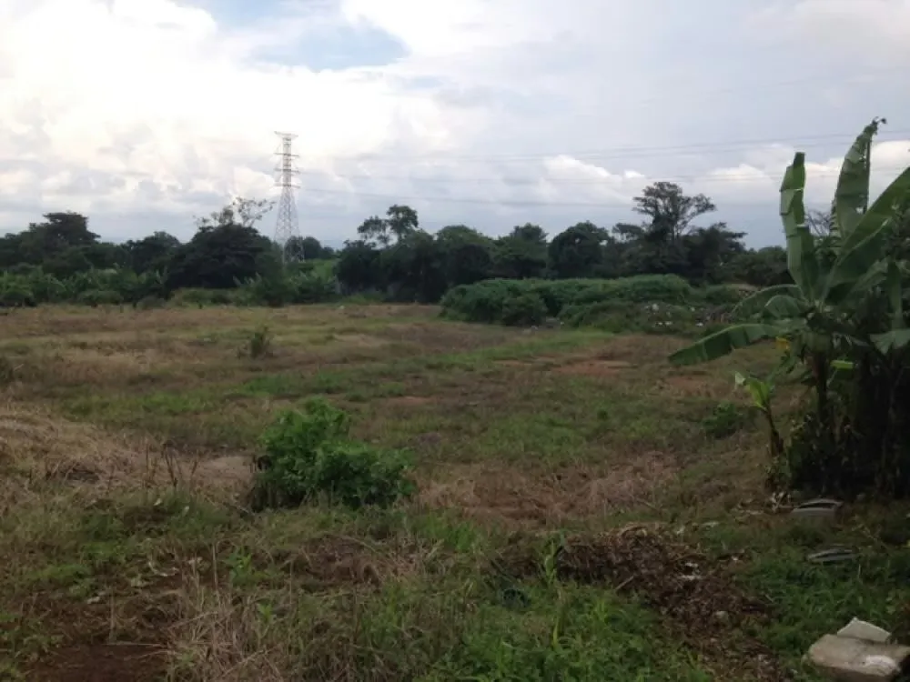 Land in La Guácima | F147.