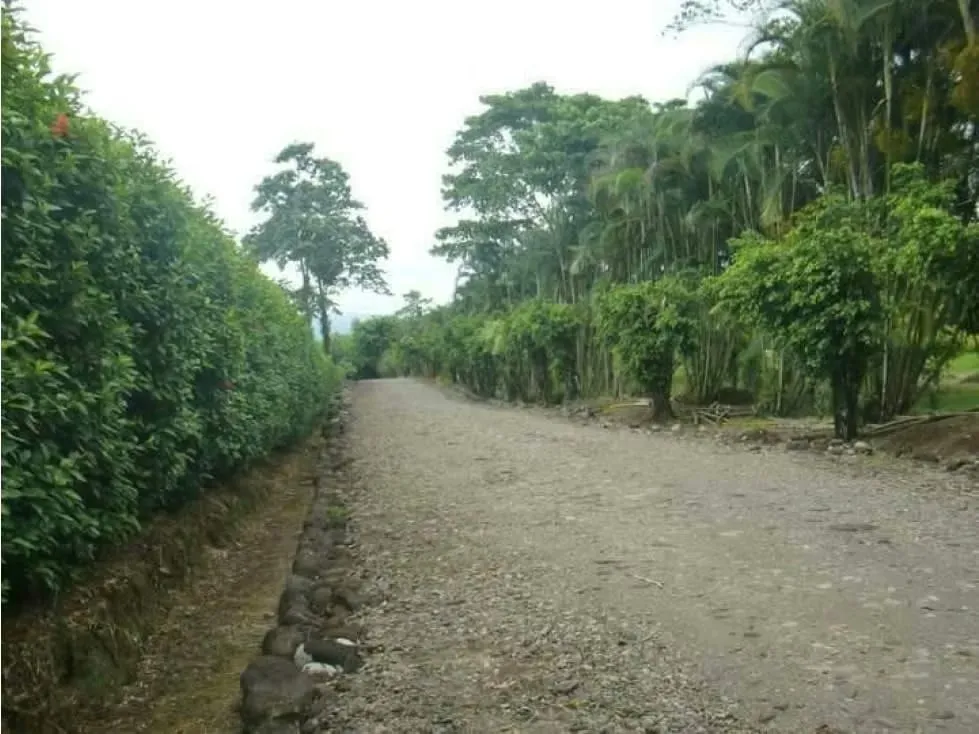 VENTA DE QUINTAS, HEREDIA, SARAPIQUÍ, RÍO FRÍO