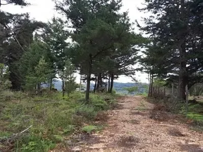 Land for sale in Jardin de Dota