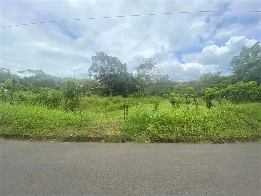 Lot for Sale in Esparza – Just 150m from La Cueva del Tigre bridge
