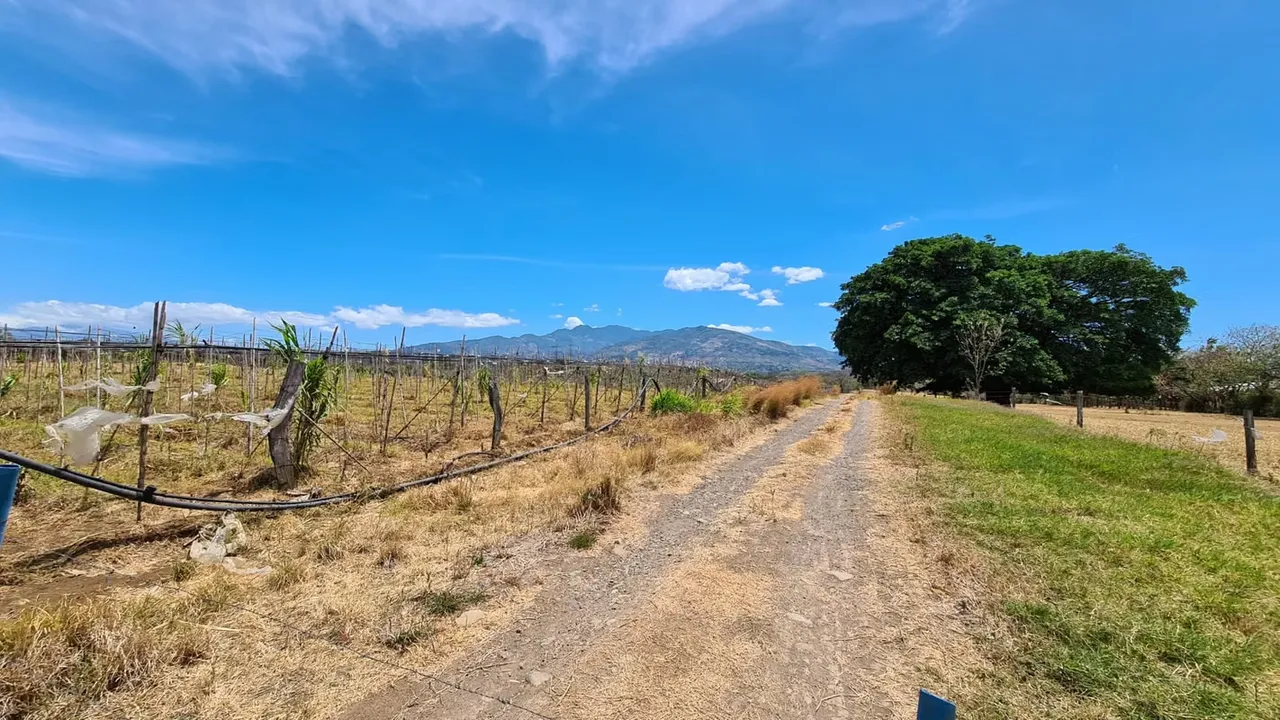 Close to the industrial area and very close to the Guácima exit towards Route ...