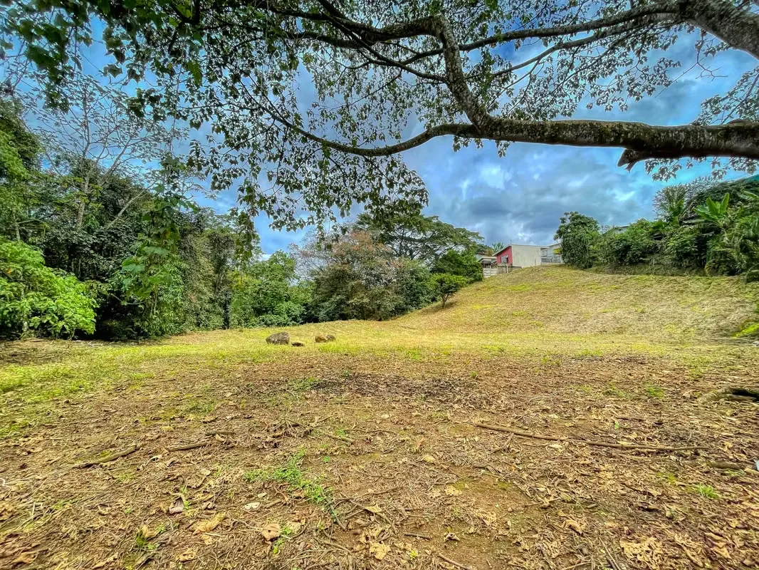 Large lot, just 3.8 km from Grecia Centro
