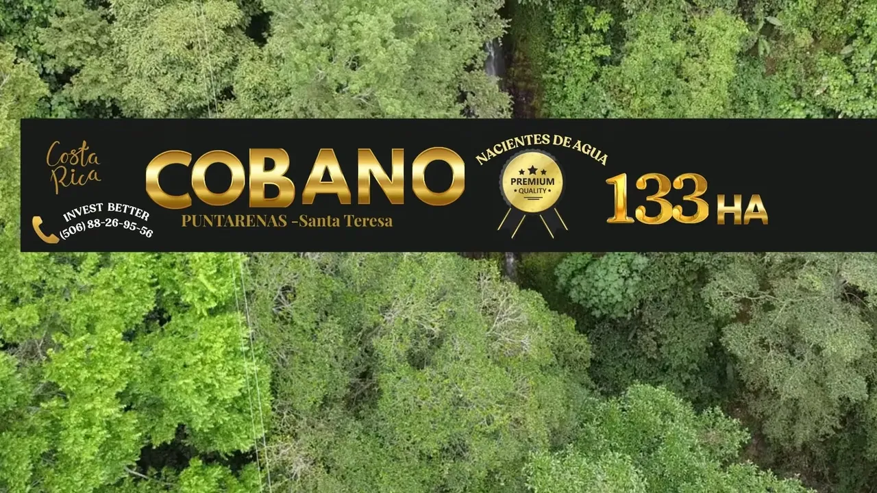 Mountain Property with Abundant Water and Ocean Views – Santa Teresa, Cóbano