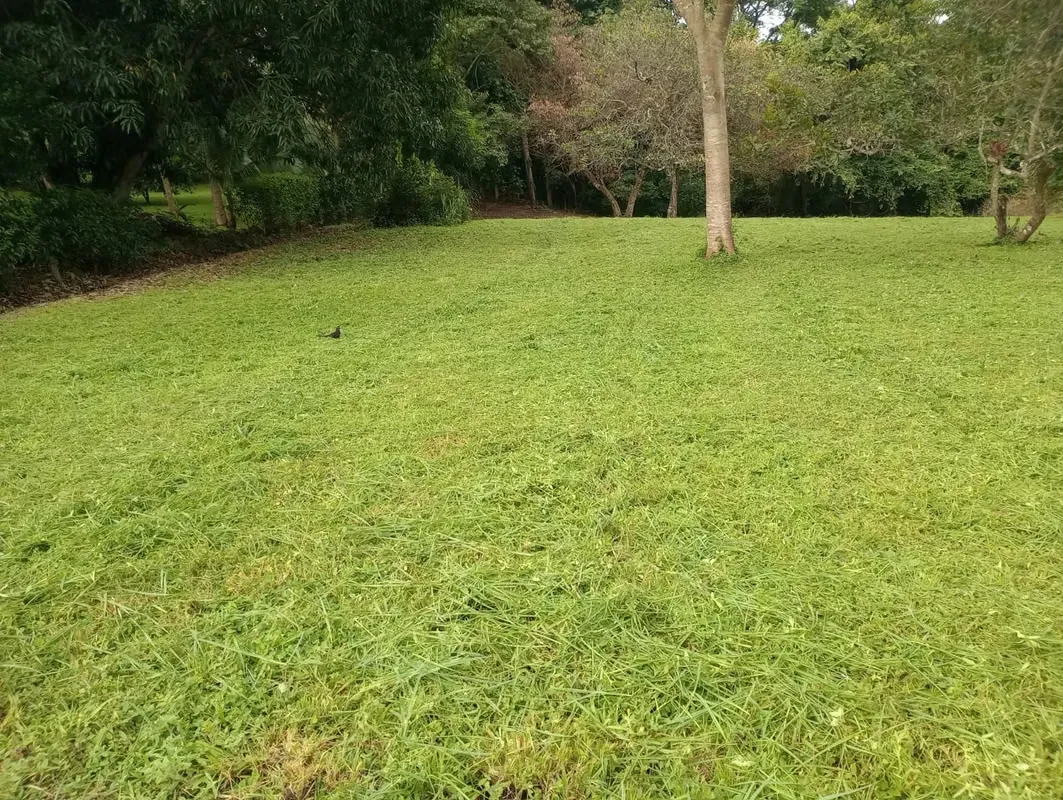 Lot in Orotina ready to build in Condominio