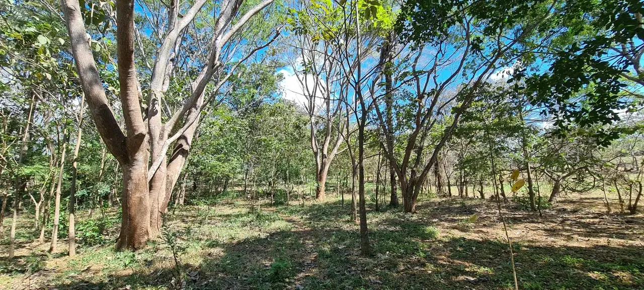 This property is located 5 km from Bajamar and El Peñón de Guacalillo, on the central Pacific coast, in Garabito, Puntarenas, where you can enjoy beautiful beaches and stunning ...