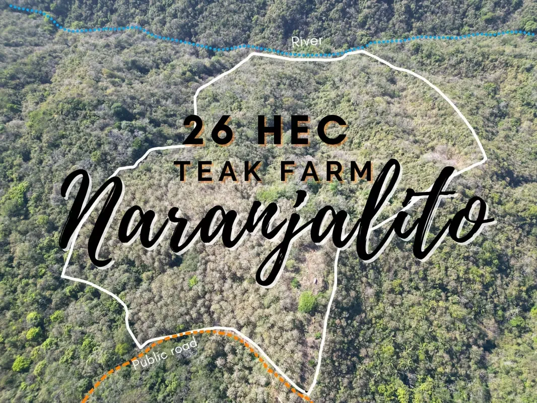 26 Hec Oceanview Teak Farm for sale