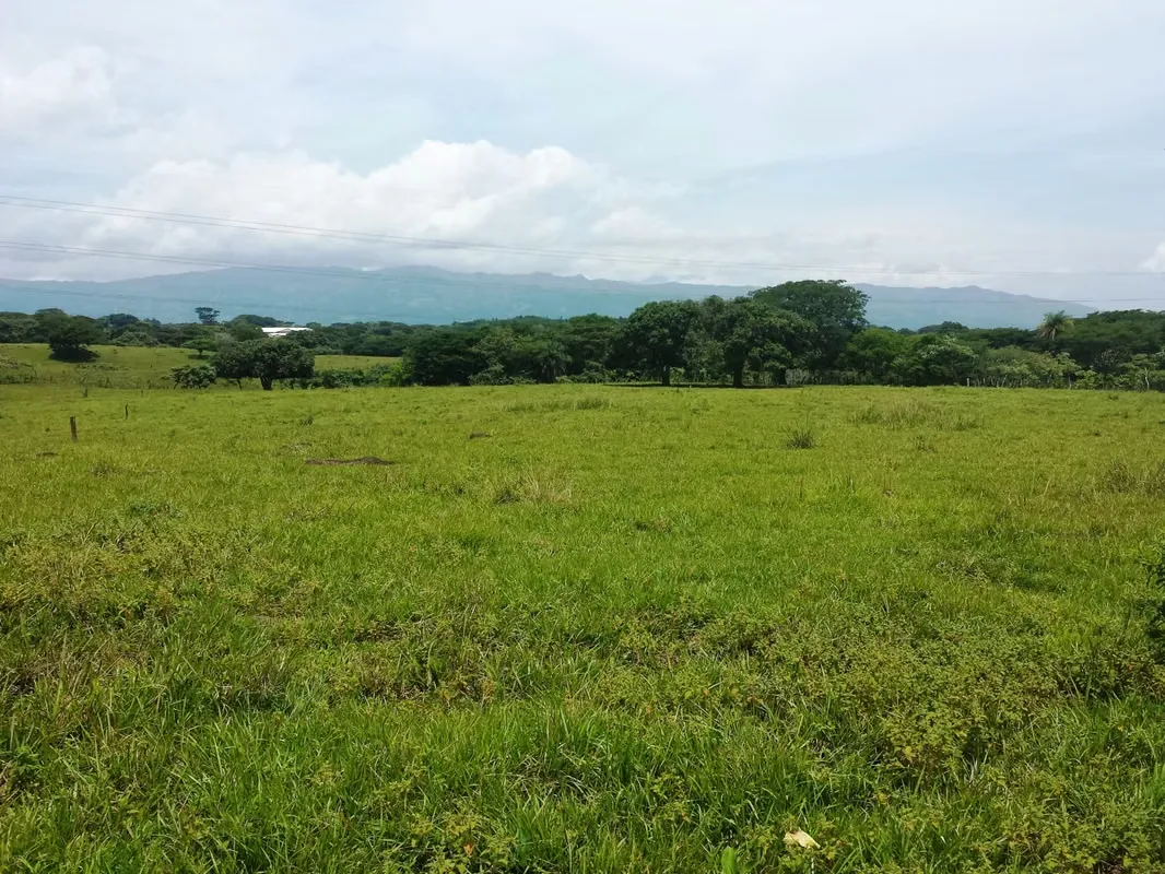 Land for sale in La Garita de Alajuela
