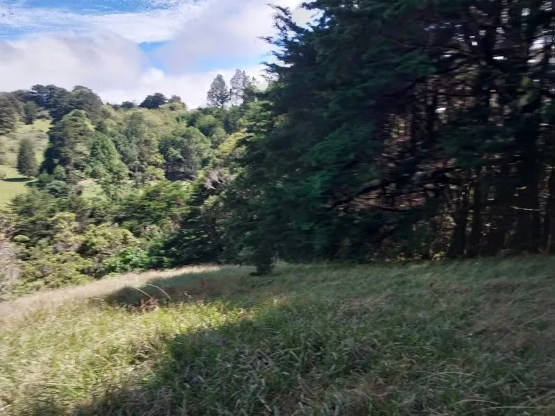 Farm for sale, San Rafael de Heredia 8.9 acres