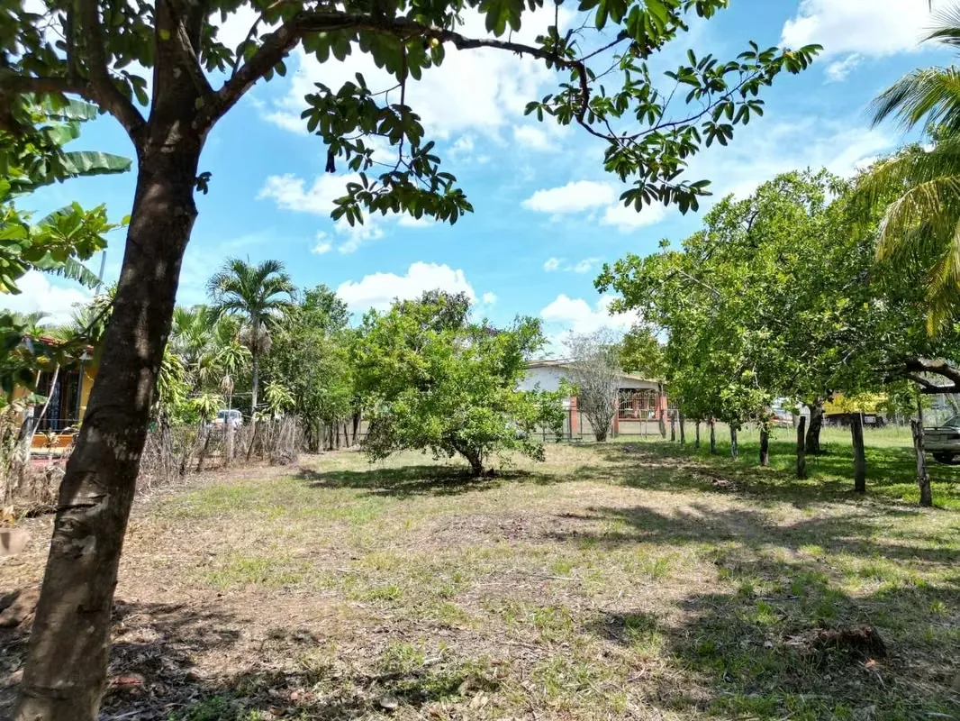 Quite flat and with fruit trees such as Limón Criollo, Guanábanas and a Papaturro stick.