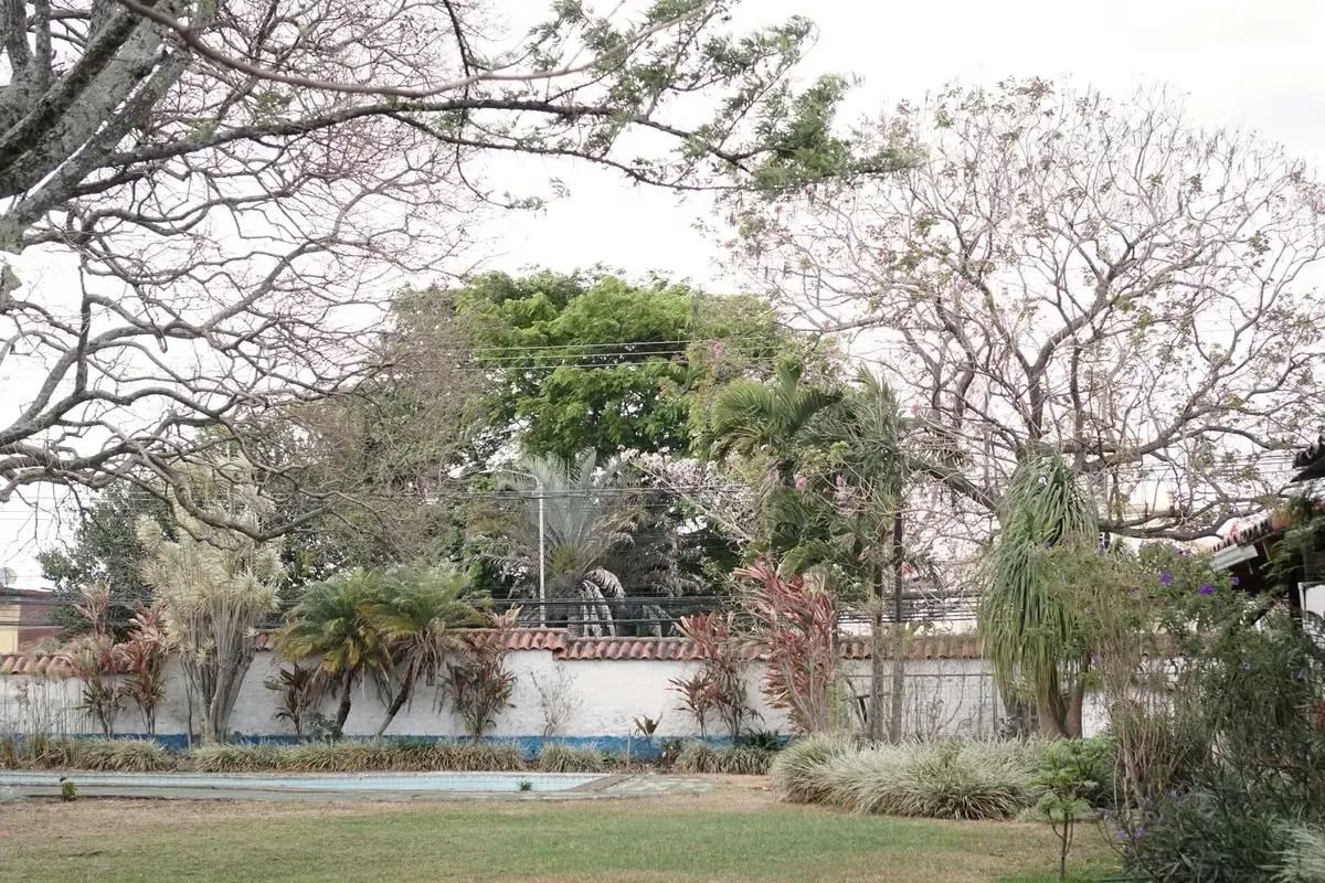 I sell beautiful property with use of mixed soil, in Santo Domingo de Heredia. It has 54 m front and more than 50 bottom, allowing excellent commercial or residential developments. — photo 3