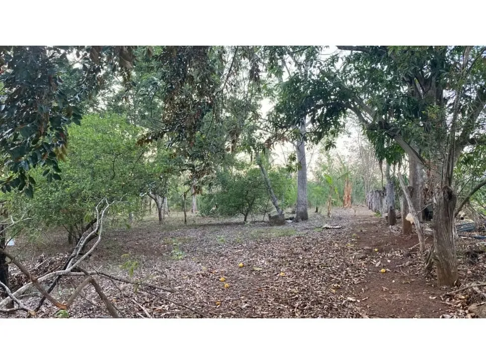 VENTA DE LOTE, ALAJUELA, OROTINA, COYOLAR