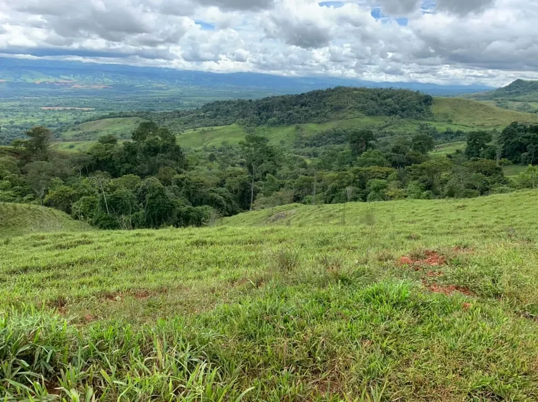 This approximately 2,000-hectare property offers a unique combination of productive land, ...