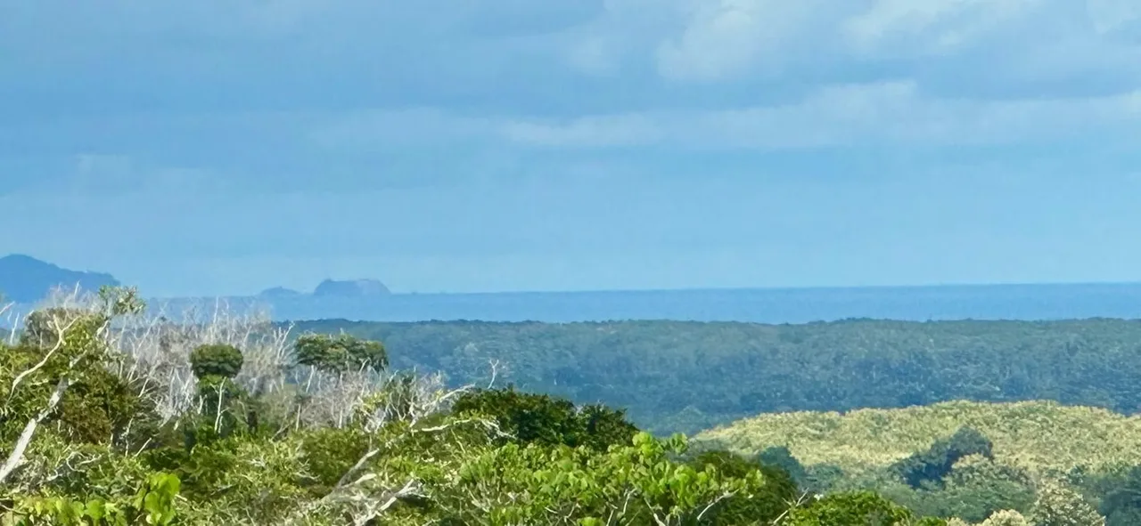 Exit the Big City for Ocean View Lot. Central Pacific, Playa Bejuco 15 min.
