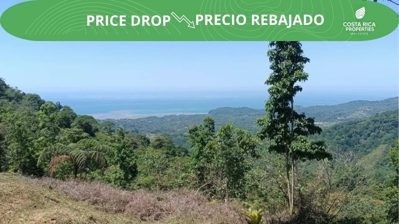 Lote en venta en Puerto Cortés, Osa, Puntarenas, vistas al océano