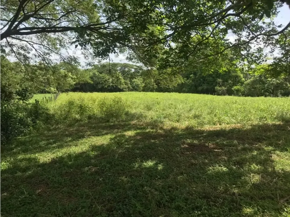 GENERAL DESCRIPTION: There are 3 lots with soil use according to the project, there is no regulatory plan. 1 kilometer from ...