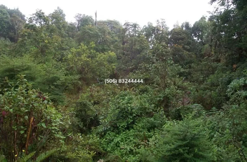 LAND FOR SALE IN CERRO DE LA MUERTE