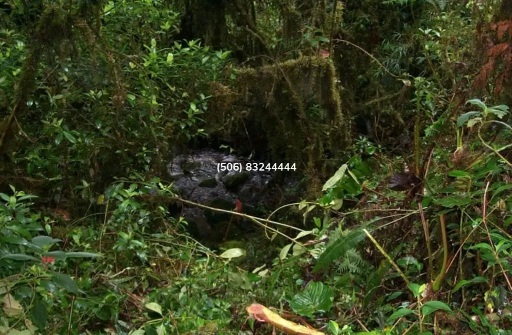 LAND FOR SALE IN CERRO DE LA MUERTE — photo 3