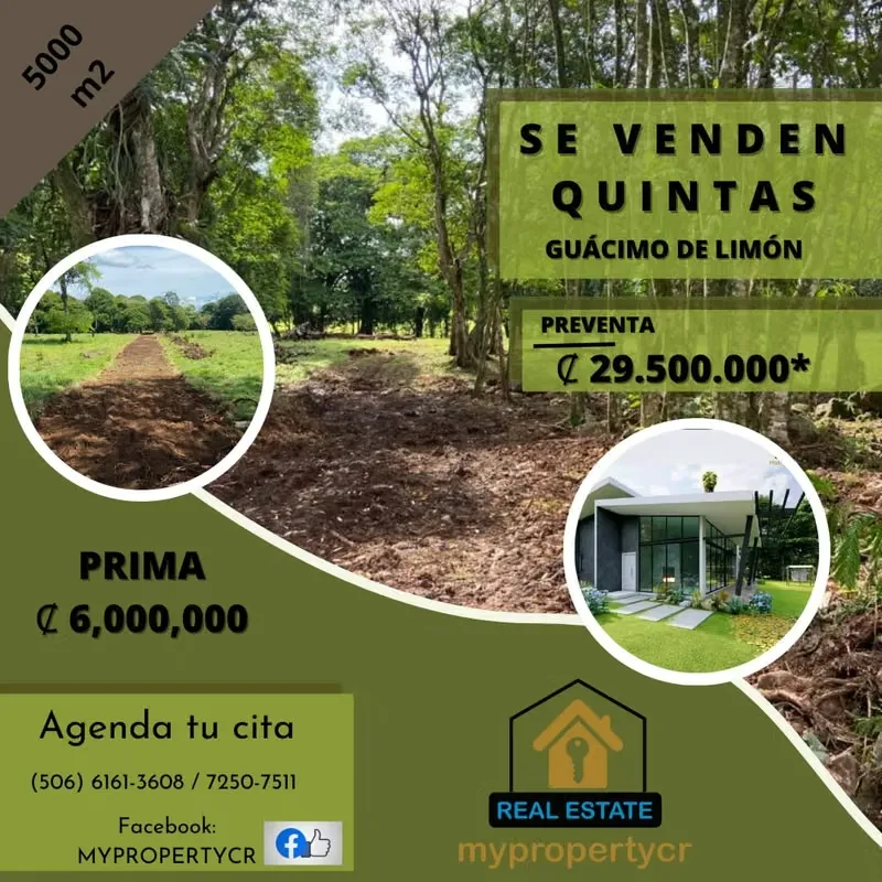 SE VENDEN HERMOSAS QUINTAS