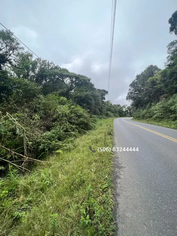 PROPERTY FOR SALE IN FRONT OF ROUTE INTERAMERICANA, CARTAGO