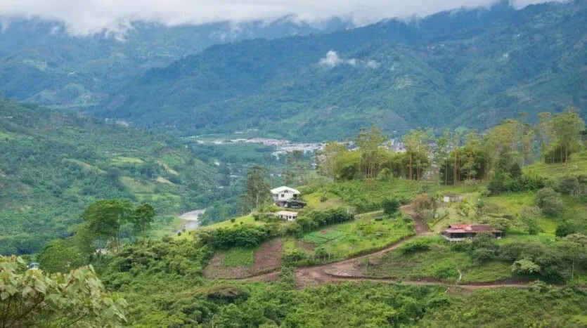 Discover your refuge in paradise! He lives far from the bustle of the city, but only 20 minutes from Cartago, in the heart of Paradise. We present a unique opportunity for ...