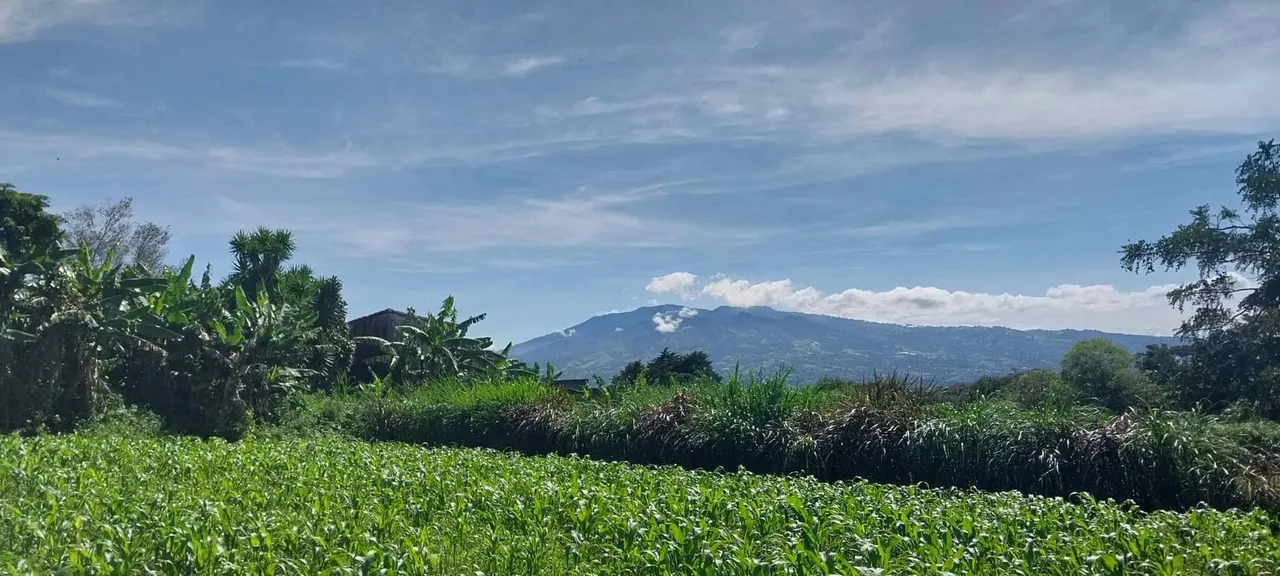 Terreno con hermosa vista, Concepcion de San Rafael, 6,883mtrs2