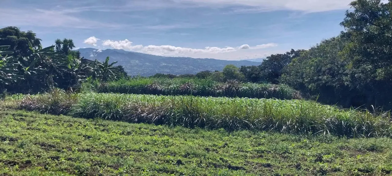 Terreno con vista panoramica,  San Rafael de Heredia, 6,883mtrs2