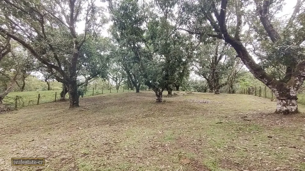 Lot in San Mateo de Alajuela in Valle Escondido street, with near perimeter peaks.