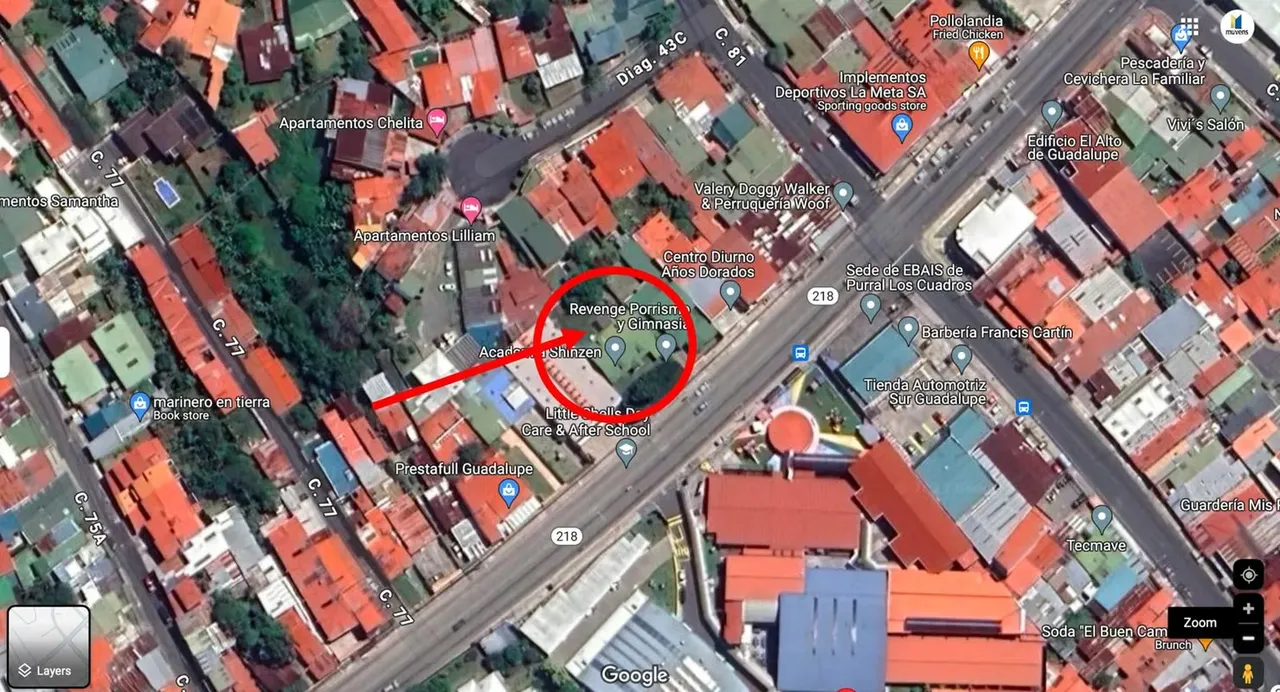 Flat Land for Sale on Main Street, Guadalupe (AD). — photo 5