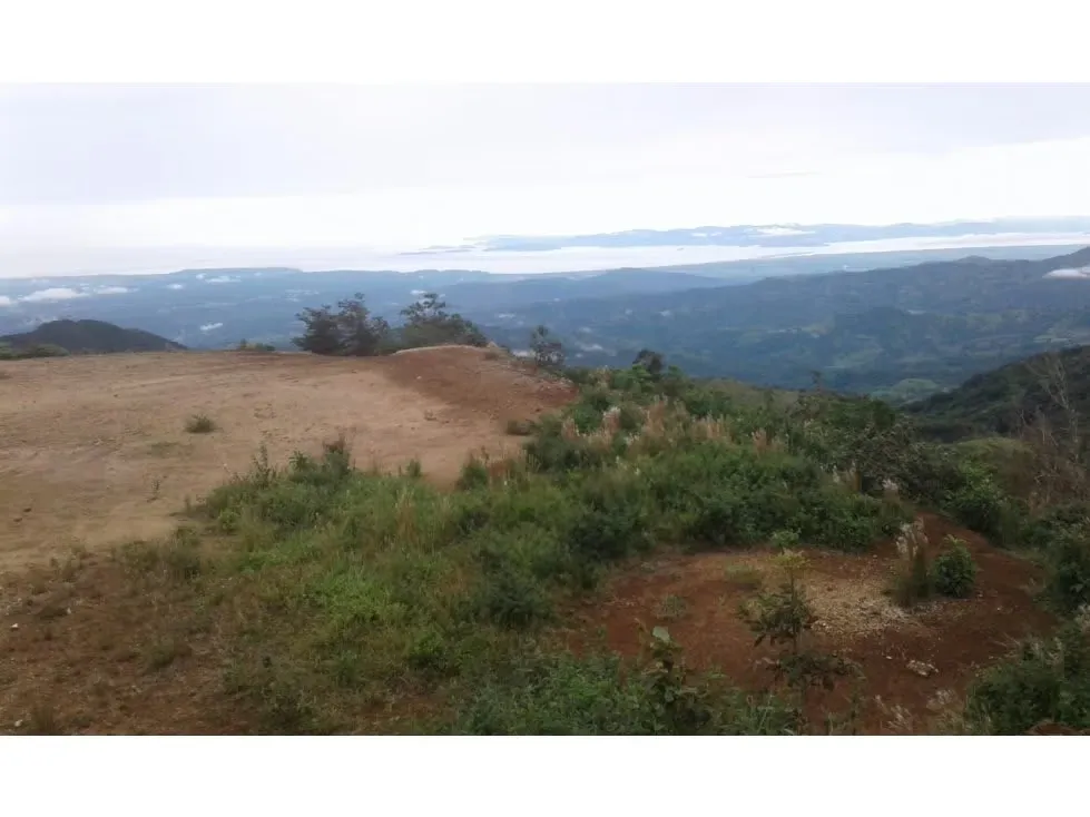 VENTA DE LOTE ALTA DENSIDAD, ALAJUELA, SAN RAMÓN, PIEDADES SUR, POTRERILLOS — photo 4