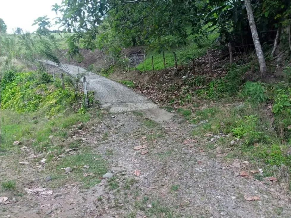 DESCRIPCIÓN DETALLADA: ubicada a 8 minutos del lago Arenal y 20 minutos al centro de la Tronadora. Uso ... — photo 4