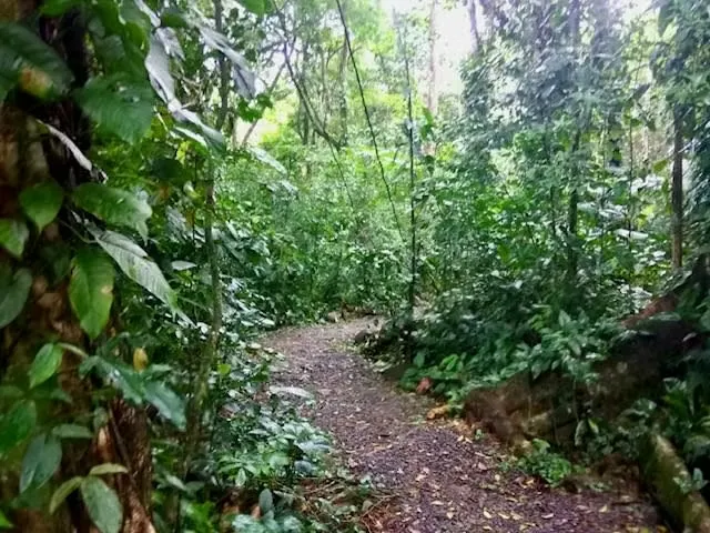 Venta finca Alajuela  San Ramon , termales