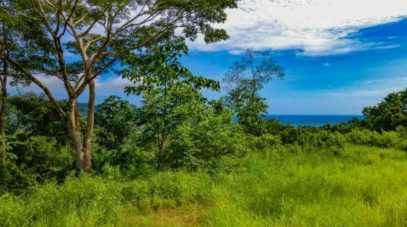 Discover paradise in this extraordinary lot of 20,209m2, where nature meets modern comfort. Located just 10 minutes from Mal País and Santa Teresa, as well as 15 minutes ...