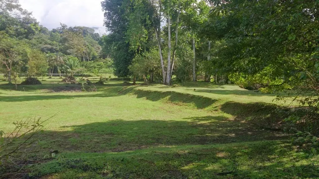 Neily is a city, head of the canton of Corridors and its first district Corridor, in the southern end of the province of Puntarenas. Its population is 25,000, although it receives ...