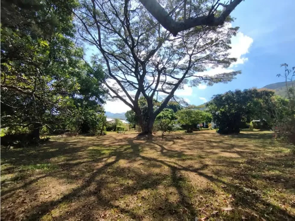 Espectacular Terreno de 3,528 metros cuadrados con forma rectangular (muy buena relación frente - fondo). Excelente frente de 42.20 metros sobre calle principal de Piedades ruta 121. ...