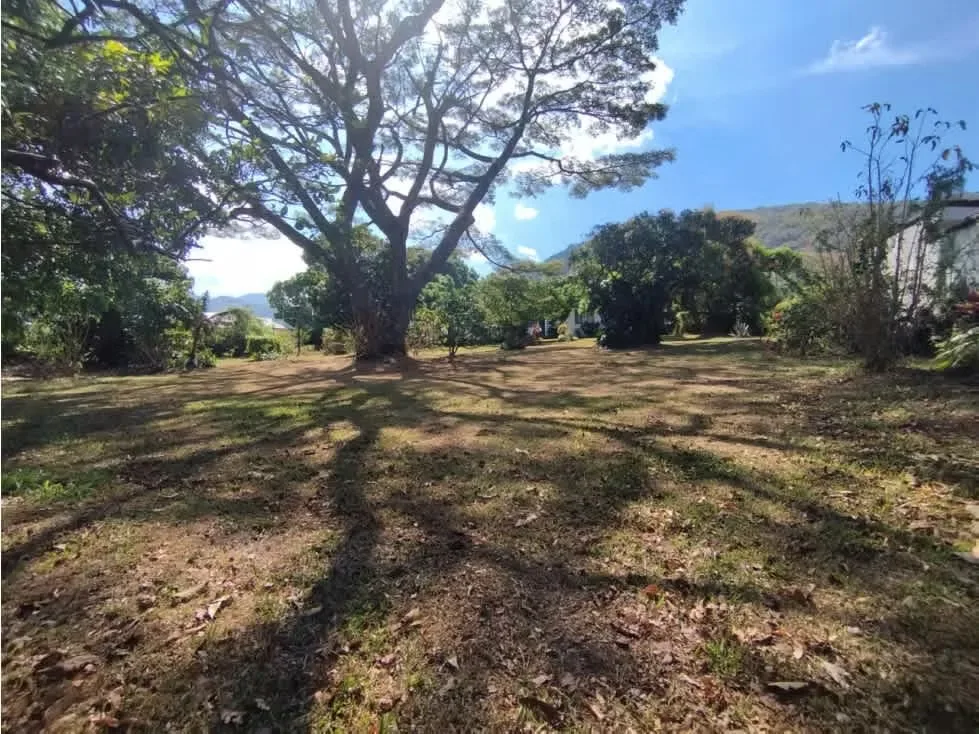 Espectacular Terreno de 3,528 metros cuadrados con forma rectangular (muy buena relación frente - fondo). Excelente frente de 42.20 metros sobre calle principal de Piedades ruta 121. ... — photo 3