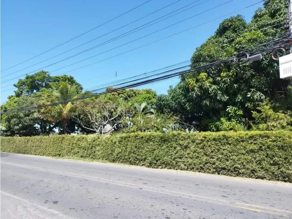 Espectacular Terreno de 3,528 metros cuadrados con forma rectangular (muy buena relación frente - fondo). Excelente frente de 42.20 metros sobre calle principal de Piedades ruta 121. ... — photo 4