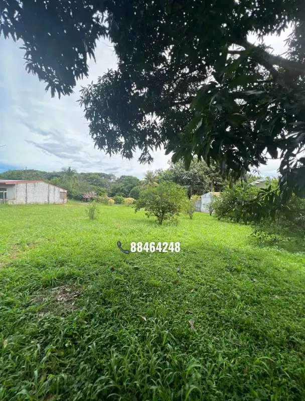 LOT FOR SALE IN LA GARITA