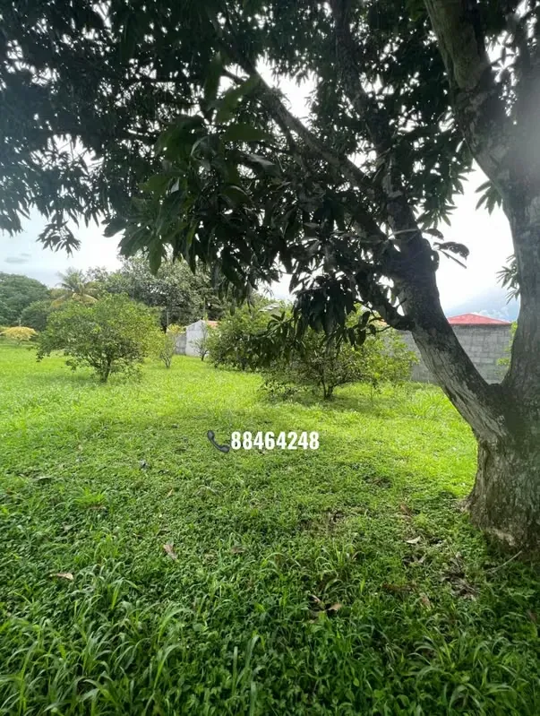 LOT FOR SALE IN LA GARITA — photo 2